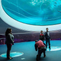 Exploring the Wonders of Science Museums
